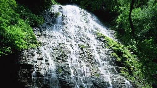 高标准精密精密